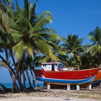 Райский остров Шри-Ланка :: Анна Анисимова