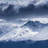 Северо-Чуйский хребет :: Ольга Волкова