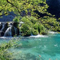 зеленые воды Хорватии :: Елена Познокос