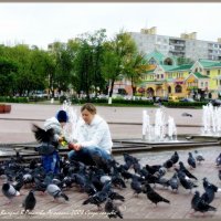 Среди голубей :: Валерий Викторович РОГАНОВ-АРЫССКИЙ