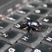 cybernetic beetle :: Konstantin Pervov