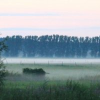 Morning fog :: Konstantin Pervov
