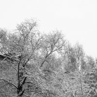 Зимушка, зима... :: Евгений МЕРКУШЕВ