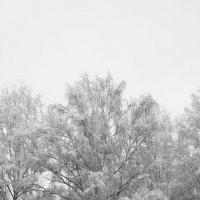И снова снег :: Евгений МЕРКУШЕВ