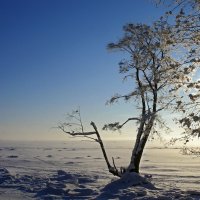 Белый снег ложится чуть слышно... :: Людмила Алексеева