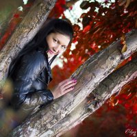 Красавица Осень :: Ольга Пономарева