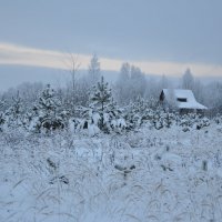 Зима :: Олег Oleg