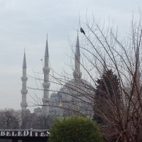 Стамбул :: Юлианна 