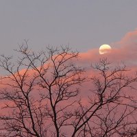 Полная Луна - декабрь. Ставрополье :: Юрий Слюньков