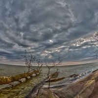 Небо над заливом :: Владимир Самсонов