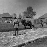 Мотоблок на биотопливе... :: Владимир Хиль