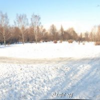 Парк зимой :: Александр Панфилов