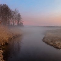 утро ночку прогоняет... :: александр макаренко