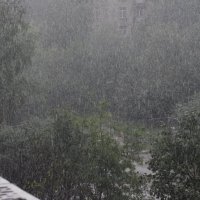 дождь :: наталия 