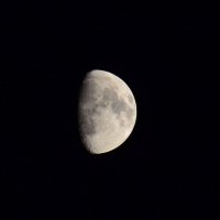 Луна :: Анастасия Салимова