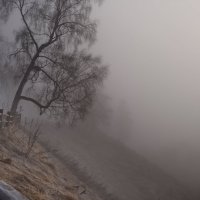 Туман :: Михаил Смуров