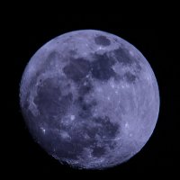 Луна :: Максим Ботвинников