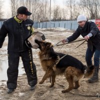 тренировка - защита :: Александр Агеев