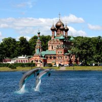 Дельфины в Останкино :: Елена Аксамит