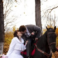 свадьба Мария & Андрей :: Юлия Лукьянова