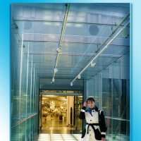 Портрет на фоне коридора из стекла, соединяющего два магазина на уровне 4-го этажа. :: Eleonora Mrz