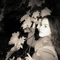 Осень :: Marina Emelyanova 