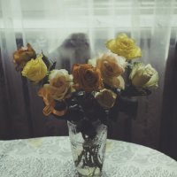 Букет цветов :: Евгения Назарова