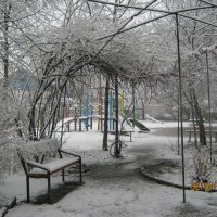 Апрельский снег. :: Наталья Савченко