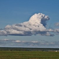 Люди в облаках. Человек в овечьей шкуре. :: Валерий. Талбутдинов.