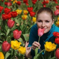 Тюльпановое многоцветье... :: надежда корсукова