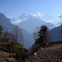 Непал :: Трифон 