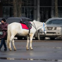 На стоянке. :: Мила ...