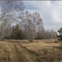 Весеннее :: Евгений Герасименко