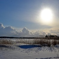 белое безмолвие... :: Елена Третьякова