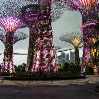 Gardens By the Bay :: Аня 