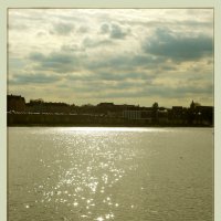 Искусственное озеро Феникс в Дортмунде. :: Eleonora Mrz