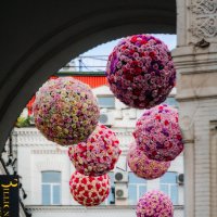 Воздушно-цветочные шарики :: Игорь Лариков
