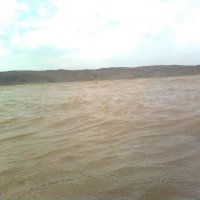 Река Амударя :: Зарина Азадова