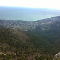 Die Krim(Jalta) auf die Palme :: Денис/Алина Крылов(а)