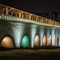 Ростокинский акведук :: Мария Дронова