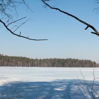 Естественные кадры (панорама озеро Кичиер весной) :: Валерий Плотников