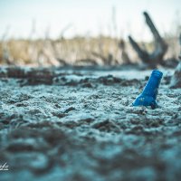 Бутылка в высохшем озере :: Дмитрий Иванов