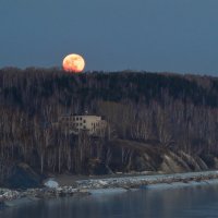 сегодня полнолуние... :: Vladimir Beloborodov