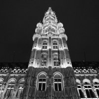 Bruxelles - Hotel de ville (Grand Place) :: @ndrei Дмитриевич
