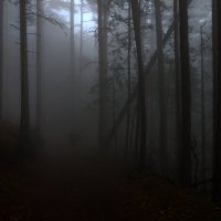 В лесу :: LENUR Djalalov