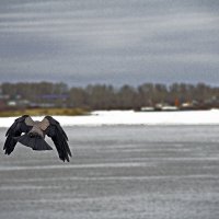 ... :: Александр Зотов