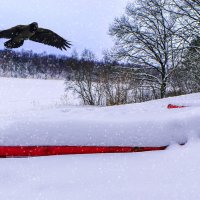 Озеро в лесковичах :: Анатолий Клепешнёв