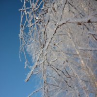 Воспоминания о зиме :: Валерий Аверин