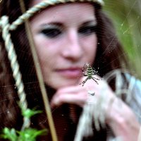 spider :: SvetLana 