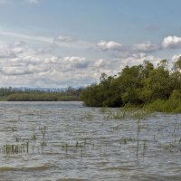 Весеннее половодье :: Владимир Бегляров